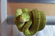 phoca_thumb_l_nr.08@20-16.jpg