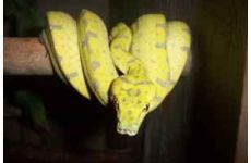 phoca_thumb_l_nr7@201.08-4.jpg