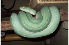 phoca_thumb_l_sdc19365.jpg