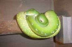 phoca_thumb_l_bild@20008.jpg