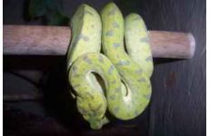 phoca_thumb_l_nr7@201.08-5.jpg
