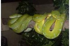 phoca_thumb_l_sdc18610.jpg