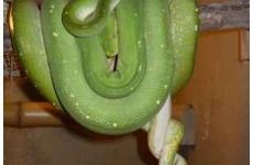 phoca_thumb_l_sdc18919.jpg