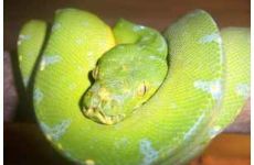 phoca_thumb_l_bild@20012.jpg