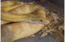 phoca_thumb_l_sdc19609.jpg