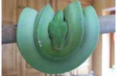 phoca_thumb_l_sdc18854.jpg